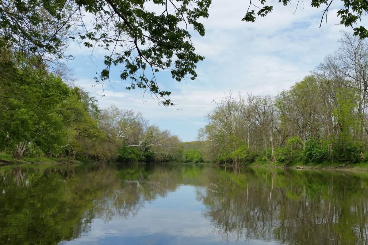 Scenic river section